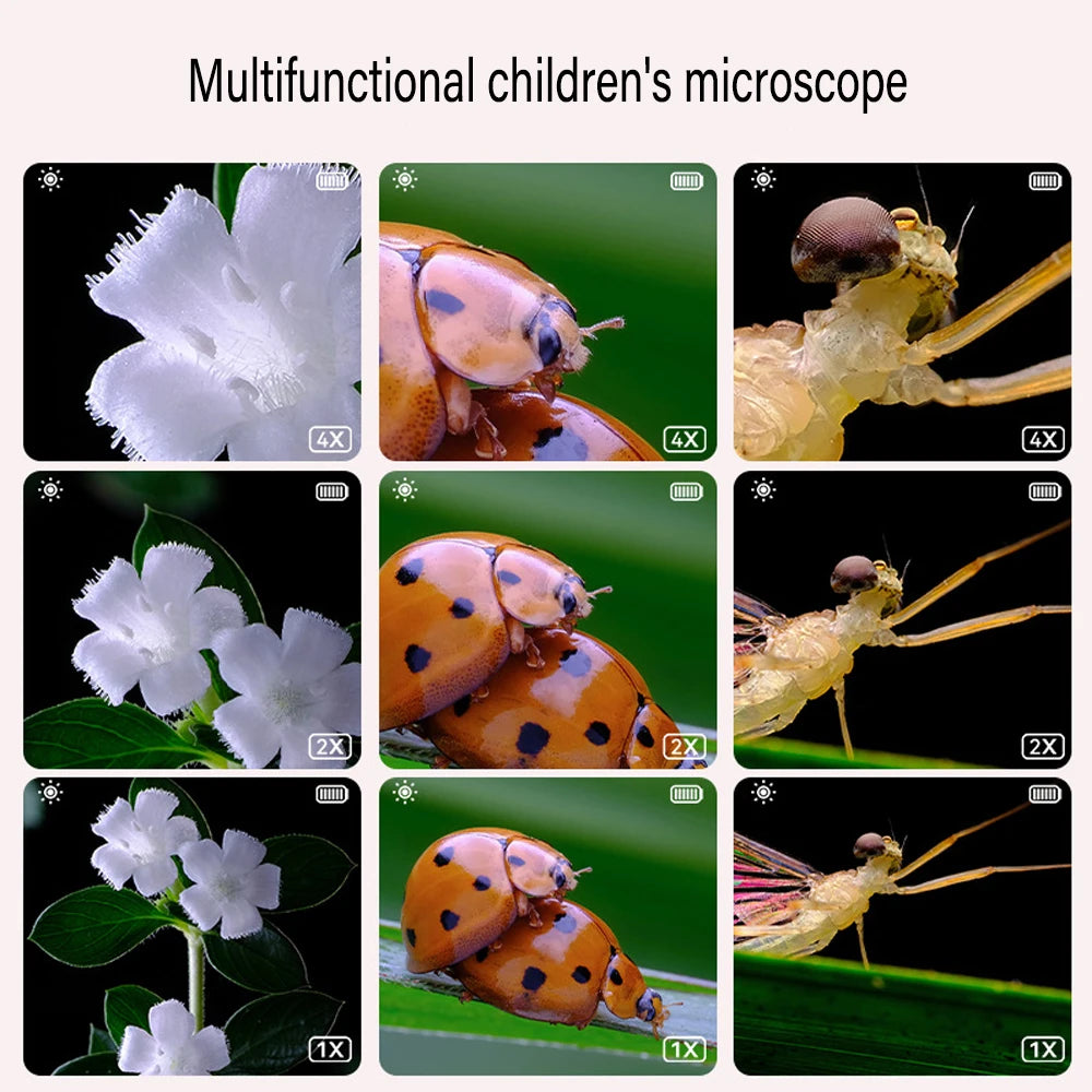 Microscope Électronique 500x – Écran LCD 2 Pouces | 6-12 ans