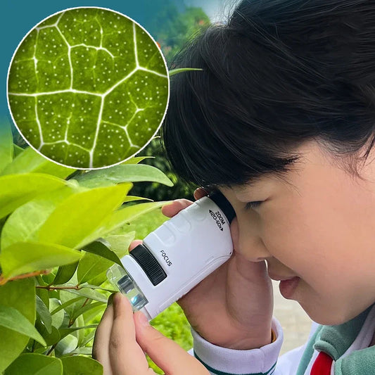 Mini Microscope de Poche 60-120X avec LED pour Enfants - Jouet Éducatif Scientifique