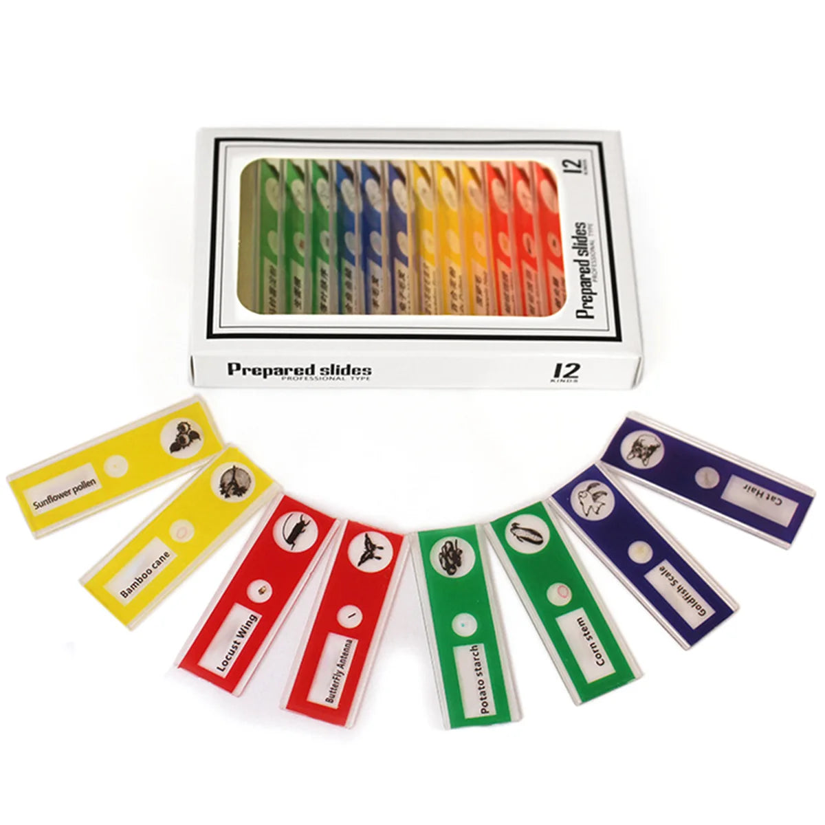 Microscope de Poche pour Enfants 60-120X avec LED - Jouet Éducatif STEM